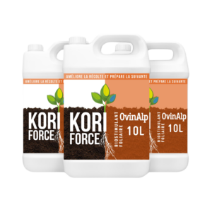 KORI FORCE