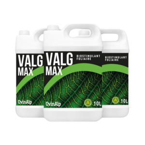 VALG MAX