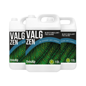 VALG ZEN